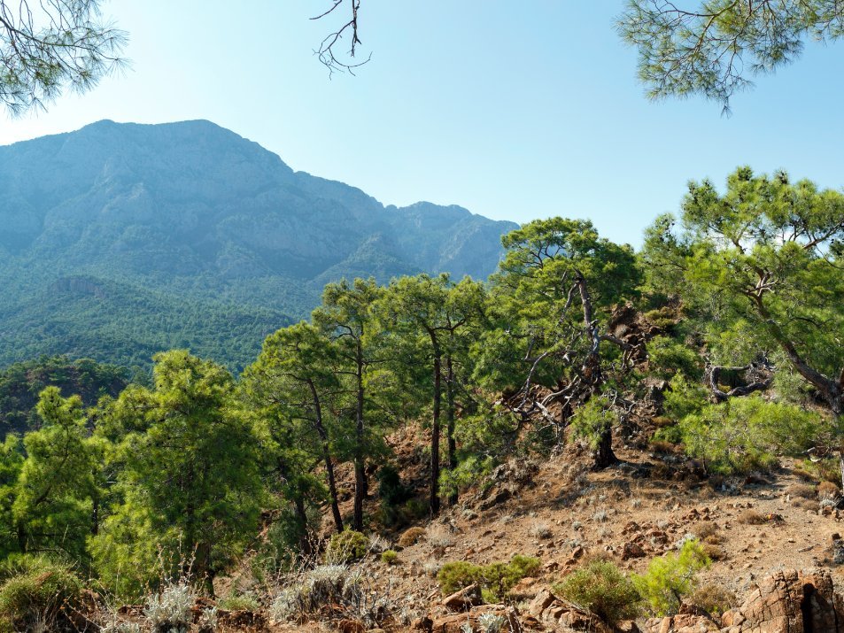 Olympos Beydaglari