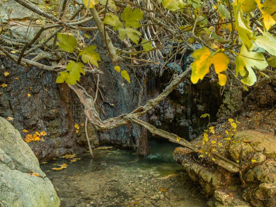 aphrodites baths cyprus rondreis 4 dagen