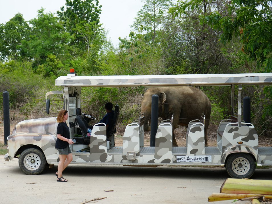 vrijwilligerswerk met dieren thailand
